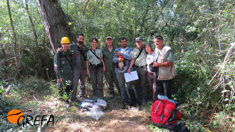 Foto de grupo de los participantes en el reciente marcaje de 'Aulencia'.