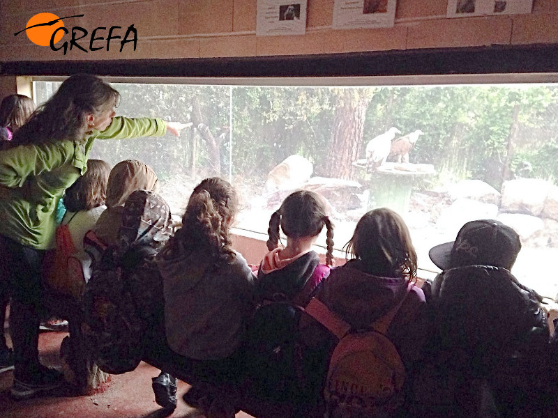 Una educadora de GREFA da a conocer nuestra instalación educativa de aves carroñeras a un grupo de niños.