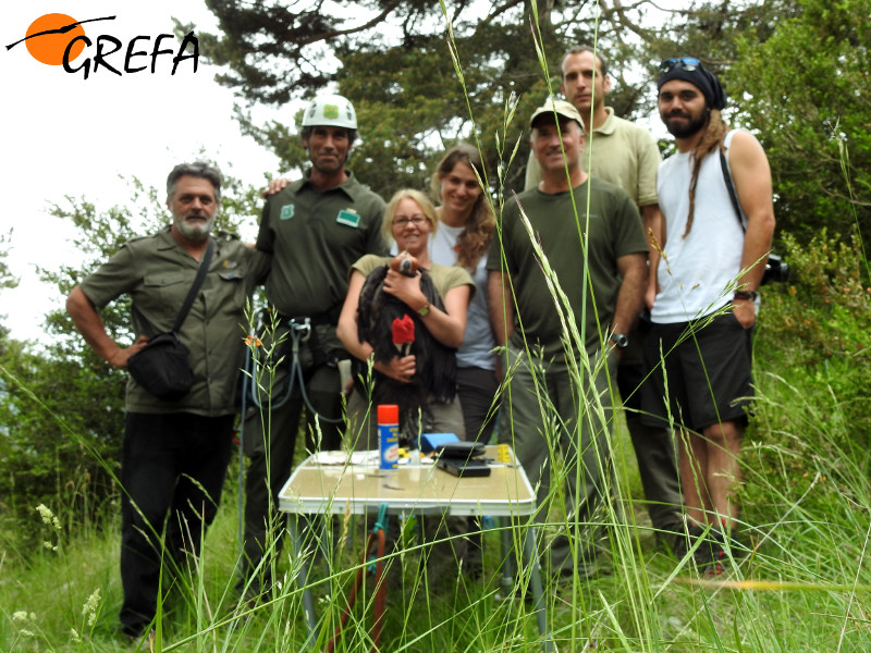 Foto de grupo de los participantes en el marcaje del pollo de los buitres negros 'Montenegro' y 'Pline'.