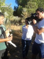 Ernesto Álvarez, presidente de GREFA, responde a las preguntas de Telemadrid instantes antes de introducir en el hacking a las águilas de Bonelli.