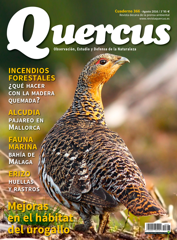 Portada del número de agosto de 'Quercus', donde se publica el Editorial dedicado a GREFA.