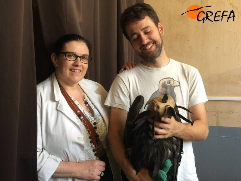 Ana, la madrina de "Zolorro", en compañía de Pablo, responsable de cría de GREFA, se despide de su ahijado, a punto de partir a tierras burgalesas.