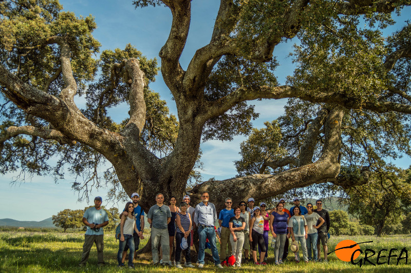 Hemos realizado actividades corporativas de CLH como la visita a GREFA, la fiesta del primilla o excursiones a espacios naturales por donde transcurre el oleoducto contando con la participación del equipo educativo de GREFA: Fernando, Marta, Marina, Gema……