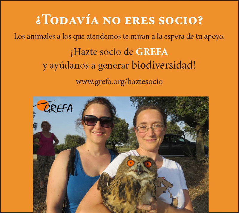 Hazte socio de GREFA