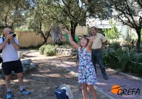Liberación de un cernícalo vulgar tras ser atendido en el Área de Huérfanos de GREFA.