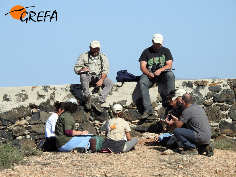 El equipo responsable del censo durante la puesta en común tras la realización de los recorridos en un polígono en Fuerteventura.