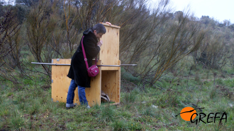 Carmen libera a un Tejón del que es madrina