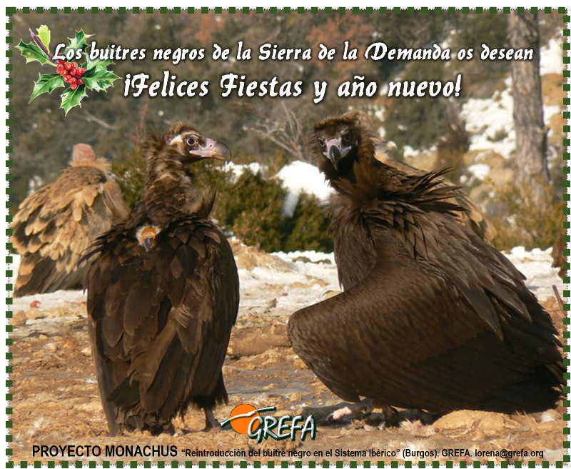 Felices fiestas