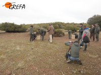 Preparando la suelta