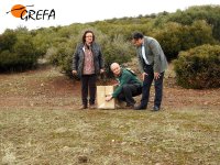 Preparando la suelta