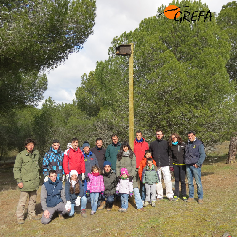 Momento de la colocación de algunos de los nidales instalados en el municipio de Rueda