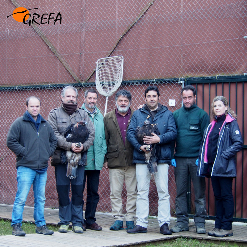 Personal de GREFA y de la Junta de Andalucía posan en Sevilla con 'Murrieta' y 'Ángela'. 