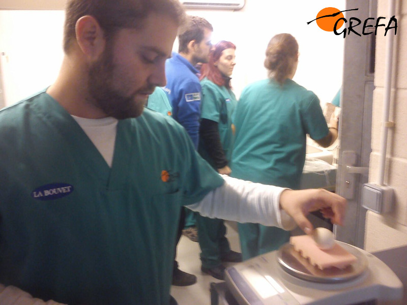 Alumnos controlando y evaluando el estado de los huevos durante el período de incubación