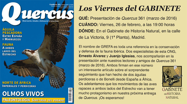 Los viernes del GABINETE