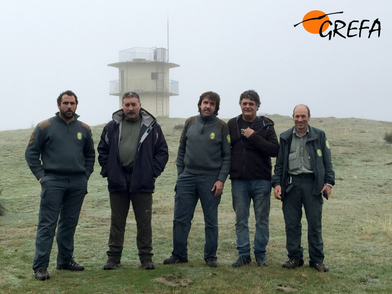 Tres Agentes Forestales, Juan Antonio Blanco, alcalde de Huerta de Arriba (Burgos), y un miembro de GREFA, en el lugar donde se va a desarrollar la primera parte del proyecto de reintroducción del buitre negro 