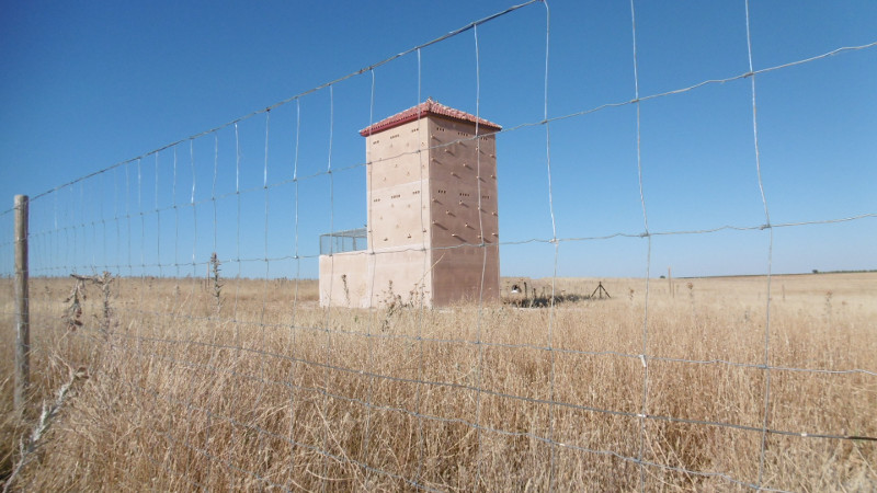 Primillar construido en el Parque Nacional de las Tablas de Daimiel. Foto: GREFA.