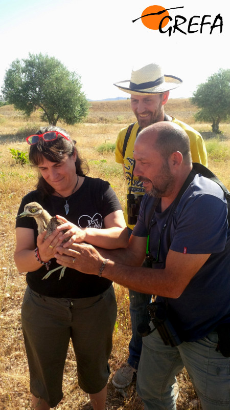Marisa y el alcaravan Botón"