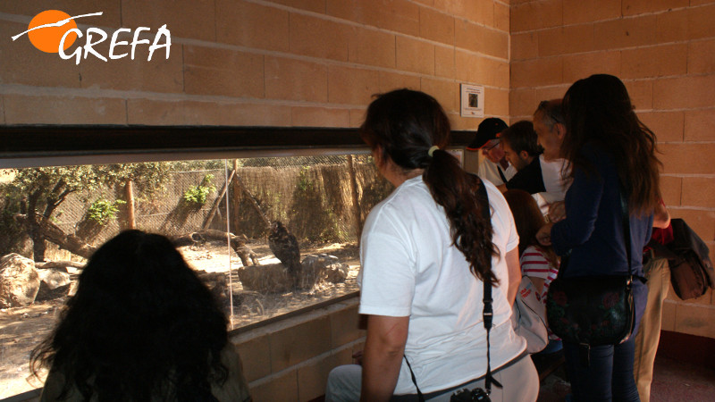 Un grupo visitante de fin de semana contempla los buitres que viven en el recinto de GREFA que recrea el ambiente de muladar.