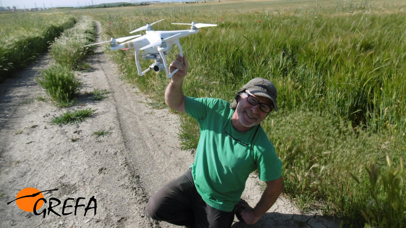 Pepe Colsa recogiendo el Dron tras haber localizado un nido de aguilucho cenizo.