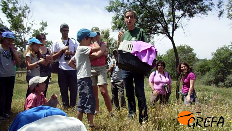 Deborah, de GREFA, da las explicaciones pertinentes antes de la liberación de uno de los animales que soltamos en Bocema.