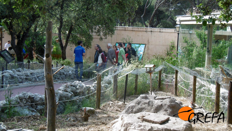 Iniciando la visita al Cerntro Natutraleza Viva