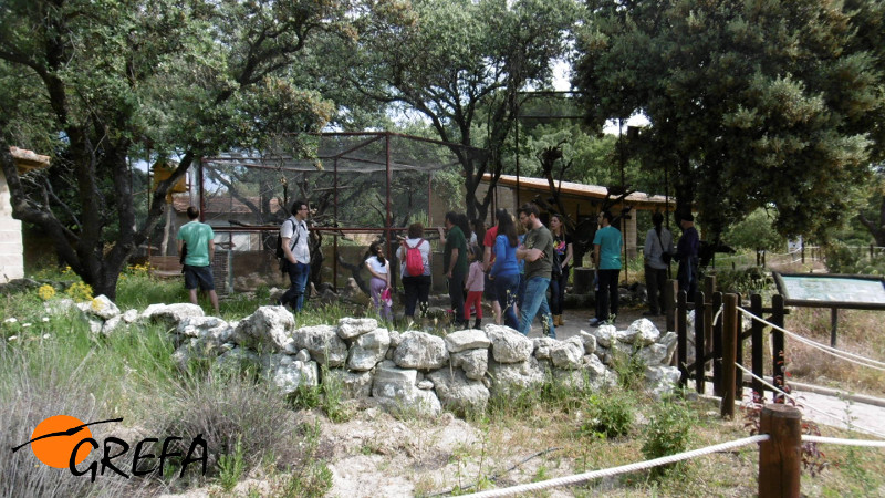 Visitando la zona destinada a los córvidos ibéricos.