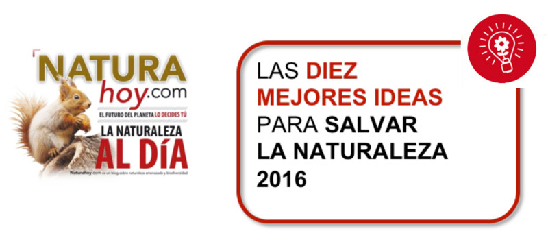 Si GREFA te parece una gran idea para salvar la naturaleza... ¡vótanos!
