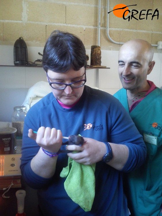 Isabel Moreno, reponsable de los animales huérfanos, junto con los alumnos dando de comer a un pequeño zorrito encontrado en la calle.