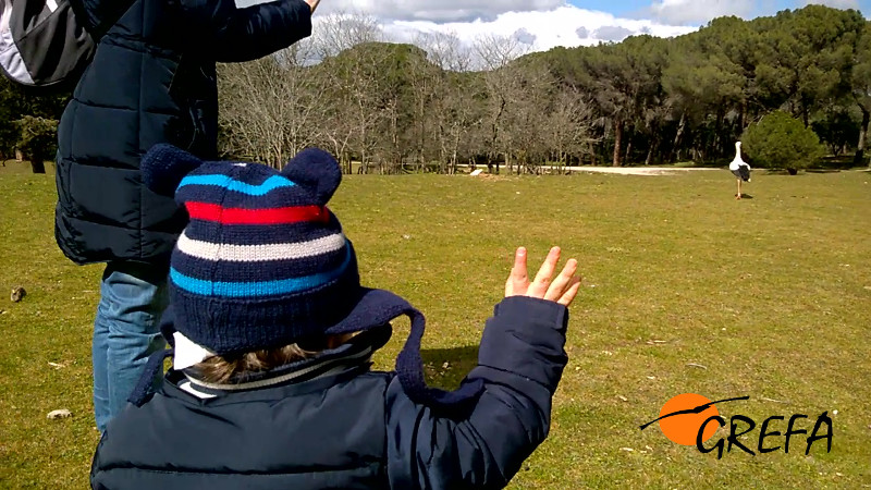 Roberto dice adios a su cigüeña