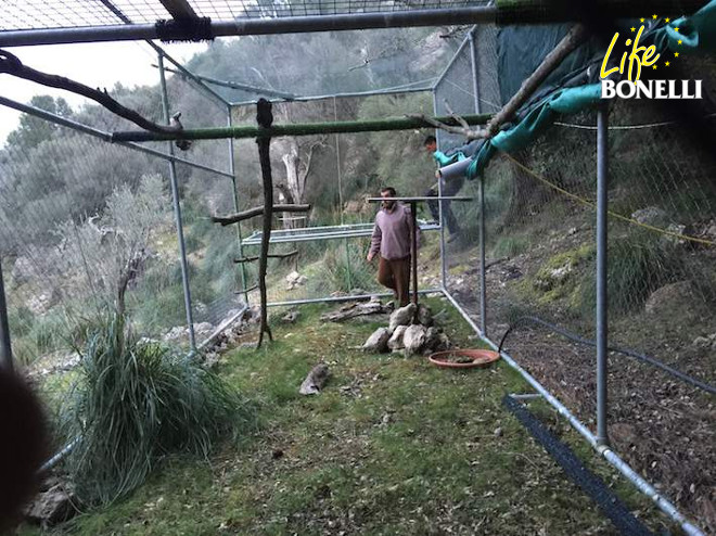 Visita a la jaula-hacking en Solleric.