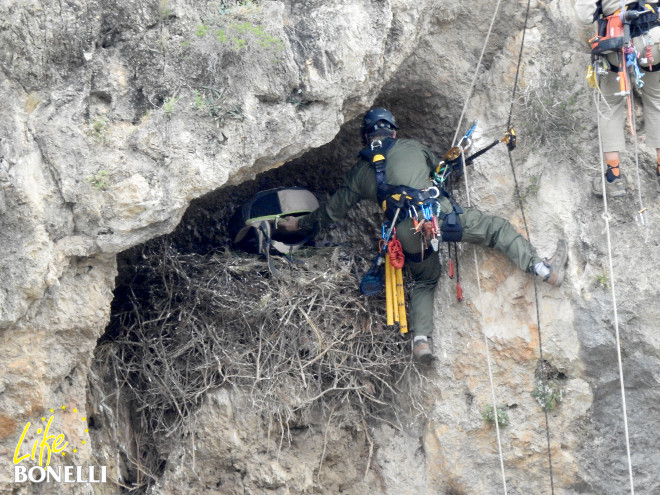 Dos especialistas llegan a uno de los nidos de águila de Bonelli en la provincia de Granada.