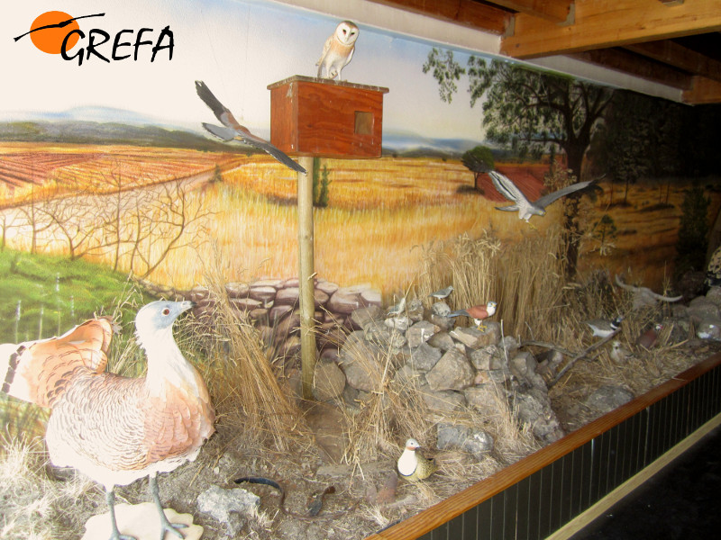 Aspecto parcial de la exposición itinerante que ha sido robada en Villalar de los Comuneros (Valladolid).