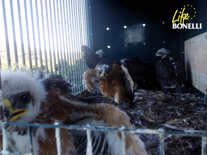 Los 'seis de Madrid' ya conviven en la plataforma de liberación.