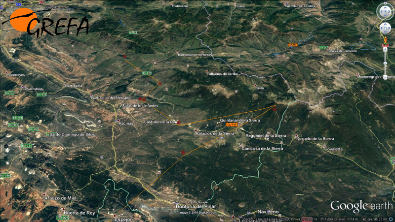 Movimientos de "Granadilla" en 2010 en la Sierra de la Demanda, en la misma zona donde hemos iniciado recientemente la reintroducción del buitre negro.