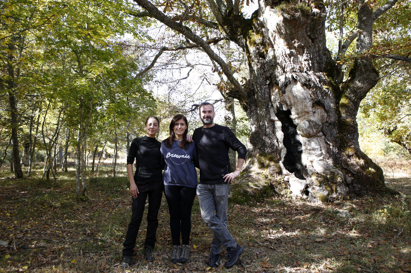 Lorena Juste, de GREFA, y Teresa Guerrero y Sergio González Valero, de "El Mundo", posan delante de un roble centenario en Huerta de Arriba (Burgos)