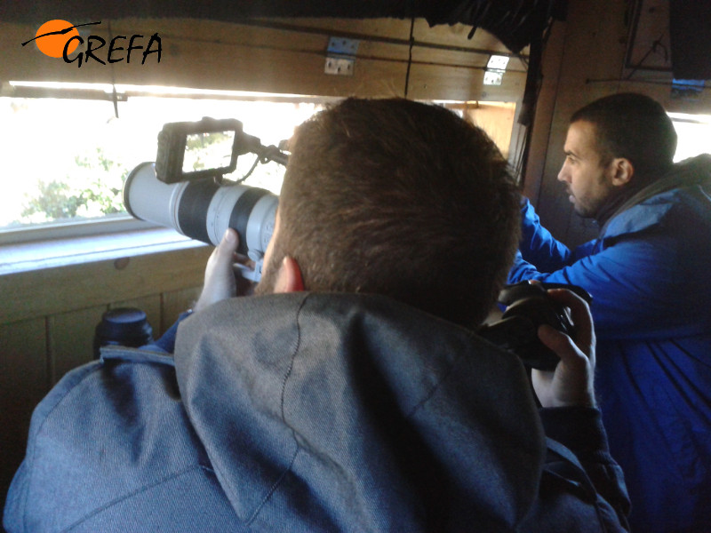 El equipo de "El País" observa a los buitres alimentarse desde el interior del "hide" de Boumort. Foto: Equipo de Trabajo Boumort-Alinyà.