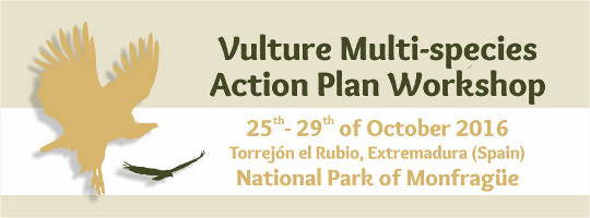 Vultures workshop 2016. Monfragüe