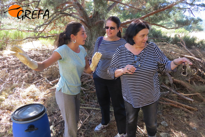 Nuestra madrina Ana recibe explicaciones de la responsable de GREFA en el Proyecto Monachus, Lorena