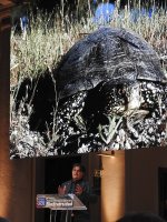 Erenesto Álvarez, presidente de GREFA, durante su discurso de agradecimiento.