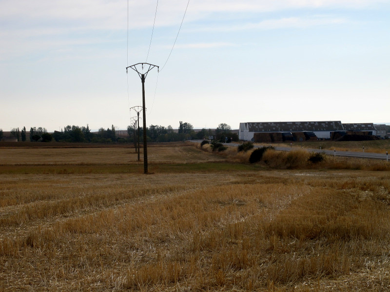 Tramo de linea eléctrica en Castromocho (Palencia) en la que se han detectado tres de los episodios de mortalidad de aves (ratonero, corneja y ánade real). Foto: Seprona