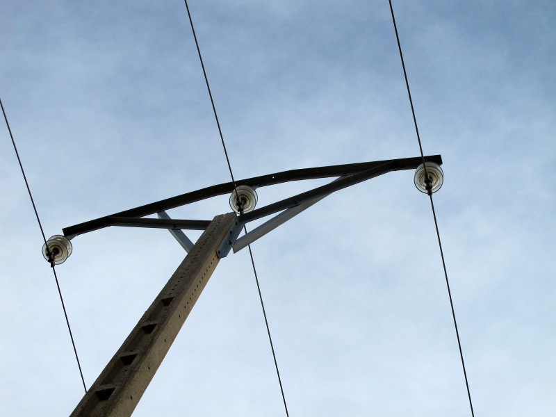 Ratonero electrocutado en Castromocho (Palencia) y apoyo en el que se electrocutó.  Foto: Seprona