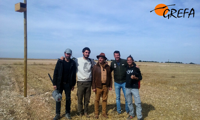 Miembros de "Aquí la Tierra" y de GREFA, junto a una caja nido de cernícalo vulgar instalada en Villafruela (Burgos).