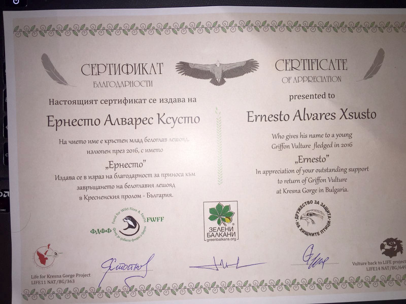 Diploma que acredita que Ernesto Álvarez, presidente de GREFA, cede su nombre para bautizar a uno de los buitres leonados nacidos en 2016 en Bulgaria.