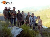 Grupo de trabajo con el alimoche "Larouco" tras retirarlo del nido para marcarlo con un emisor.