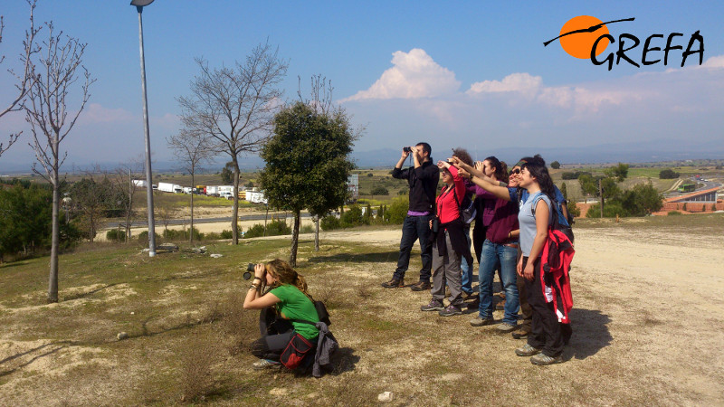 Alumnos haciendo seguimiento de campo de cernícalos primillas