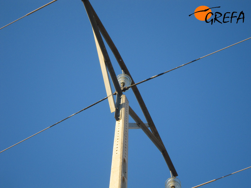 Apoyo eléctrico donde se electrocutó la primera perdicera del proyecto bonelli en Madrid; se trata de un águila criada en cautividad en GREFA. Es un apoyo de media tensión de iberdrola que después de varios años aún no se ha rectificado.