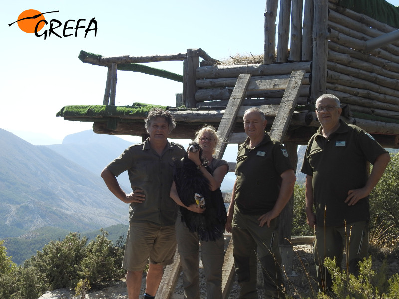 Guardas de la reserva y miembros de GREFA posan con 'Zarza' delante del hacking de Boumort. Foto: Equipo de Trabajo de Boumort / Alinyà.