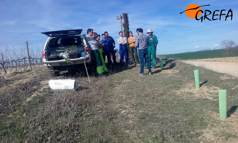 Alumbos y profesores de la Escuela de Capataces de Coca (Segovia), escuchan a Manuel del Rincón, responsable de los viñedos de Bodegas Marta Maté.