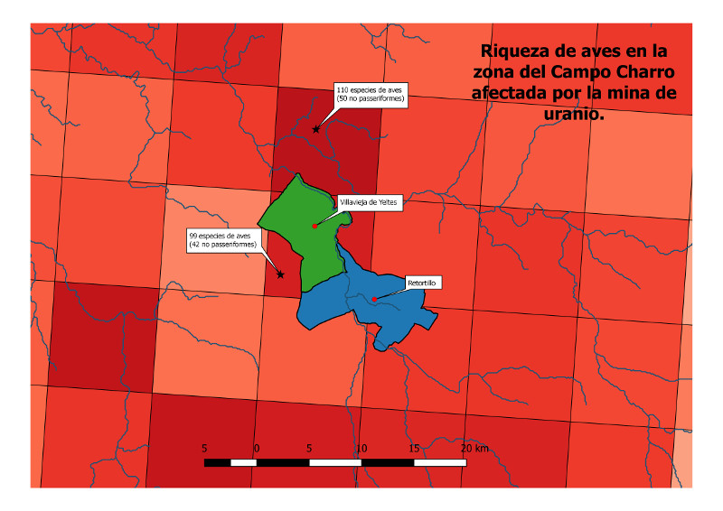 Riqueza de aves en la zona del Campo Charro afectada por la mina de uranio (cuadrículas UTM 10x10 km). Dos de las cuadrículas más afectadas por la mina son también las de mayor riqueza de especies. Mapa elaborado por GREFA.