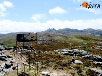 Plataforma de hacking con el águila real "Trives" dentro y, de fondo, la Serra do Xurés.